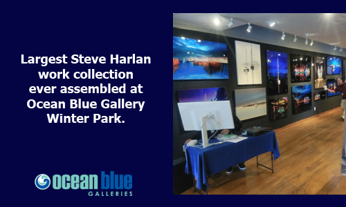 Largest Steve Harlan Collection at Ocean Blue Gallery Winter Park