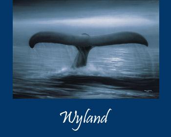 Art by Wyland at Ocean Blue Galleries Winter Park