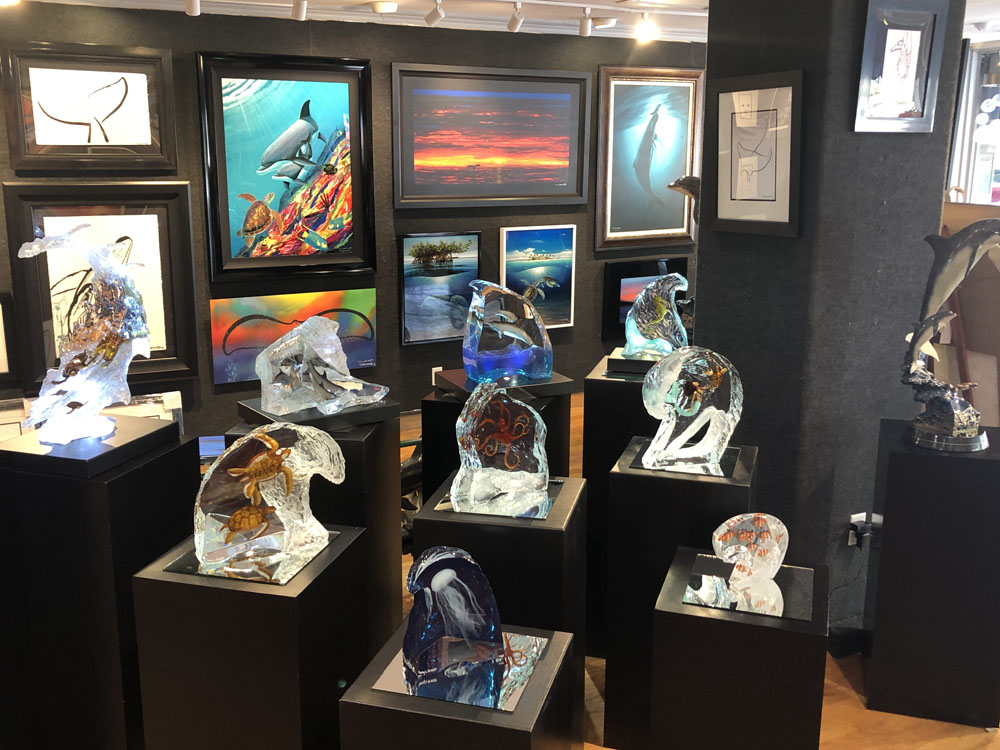 Ocean Blue Galleries Winter Park Art Gallery - Featuring Wyland Lucites