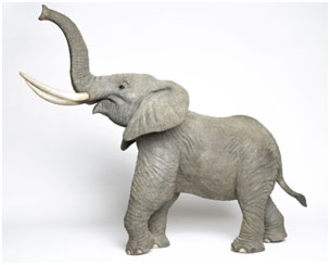 African Elephant Bronze Sculpture by Wyland African Elephant Bronze Sculpture by Wyland