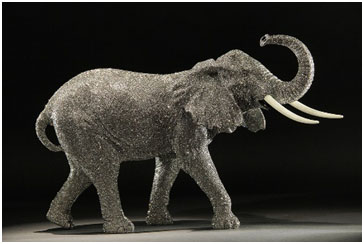 Golden Pheasant by Clarity Brinkerhoff at Ocean Blue Galleries