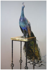 Peacock Indian Blue by Clarita Brinkerhoff at Ocean Blue Galleries Peacock Indian Blue by Clarita Brinkerhoff at Ocean Blue Galleries