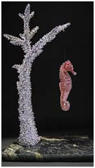 Sea Horse on a Staghorn Coral by Clarita Brinkerhoff at Ocean Blue Galleries Sea Horse on a Staghorn Coral by Clarita Brinkerhoff at Ocean Blue Galleries