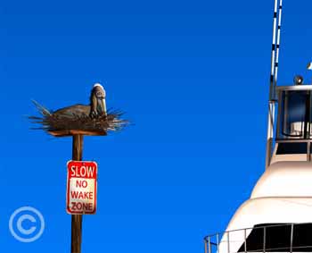 No Wake Zone - Detail by Stephen Harlan for sale at Ocean Blue Galleries