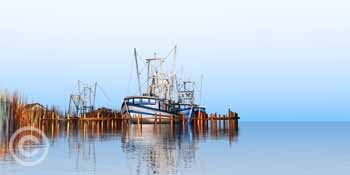 Stanley's Fish Camp by Stephen Harlan at Ocean Blue Galleries