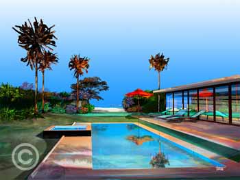 Swim by Stephen Harlan for sale at Ocean Blue Galleries