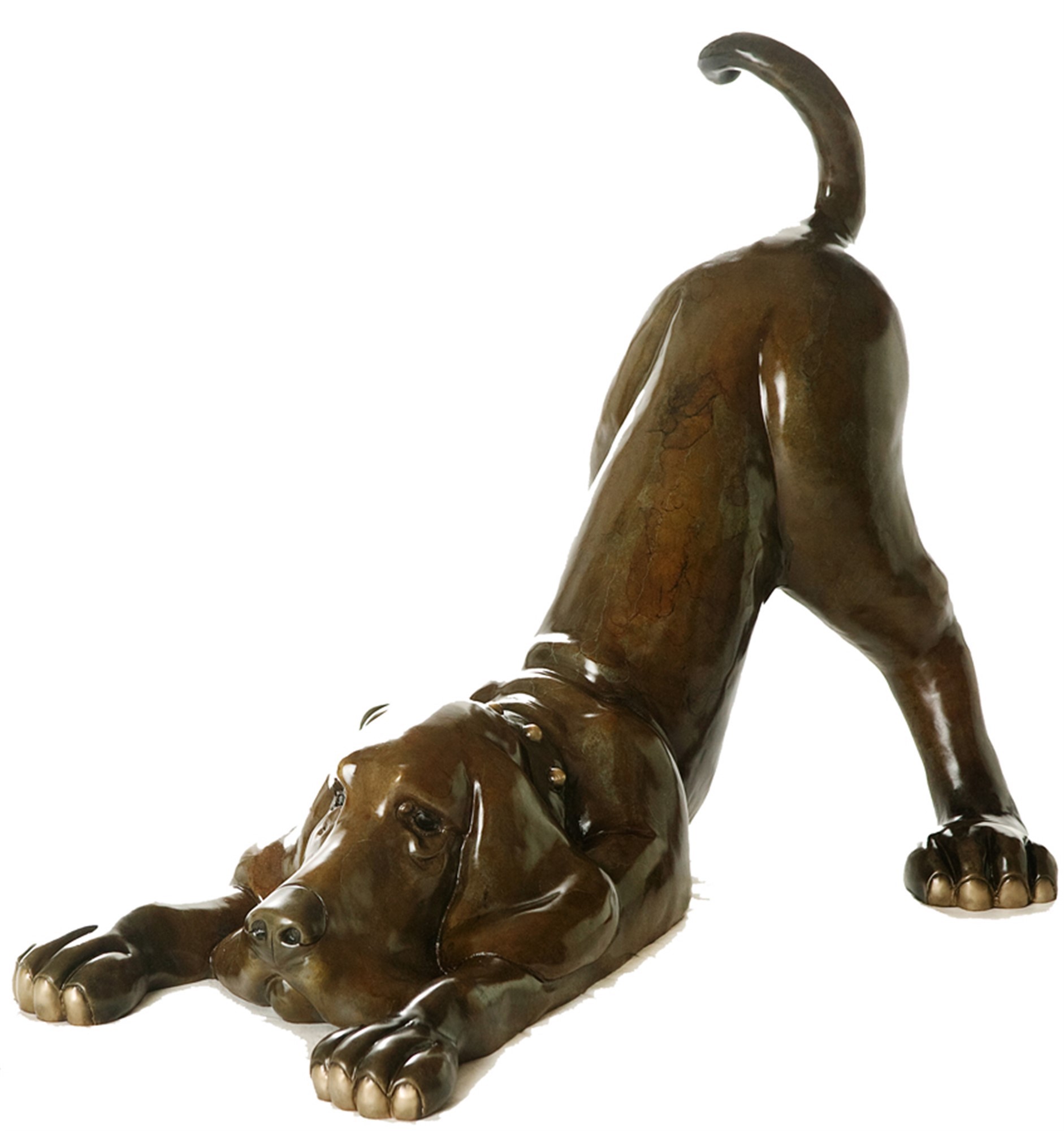 Rathbone Harvey Dog Sculpture by Marty Goldstein at Ocean Blue Galleries